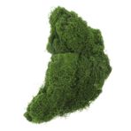 POPETPOP 1 Simüle Edilmiş Yosun Çimi Açık Yosun Dış Mekan Dekorasyonu Ceket Pimleri Sahte Yosun Bitki Yosunu Yapay Dekorasyon Spatula Konteyner Dekorasyonu Yapay Yosun Green Naylon