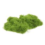 POPETPOP 1 Simüle Yosun Çim Yapay Yosun Simüle Yosun Yeşil Yosun Yosun Yosun DIY El Sanatları Için Yosun El Sanatları Için Bitkiler Için Yosun Kapalı