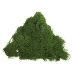 POPETPOP Doğal Görünümlü Yapay Yosun - Peyzaj Ve Bonsai Projeleri Için 100g Sahte Yosun