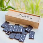 Popkonsol Ahşap Saklama Kutulu Domino Taşı Eğitici Hobi Oyunu