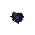 Porland 04FIA002826 Coralline 31 cm Kase