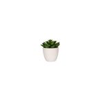 Porland Aloe Vera 10 cm 6 Adet Mini Yapay Bitki