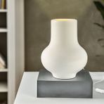 Porland Alumilite 23 cm Mat Abajur