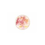 Porland Cosmos Desen1 17 cm Düz Tabak