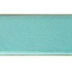 Porland Seasons Turkuaz 16x35 cm Baton Pasta Tabağı