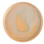 Porland Stoneware Savanna 30 cm 6 Adet Düz Tabak