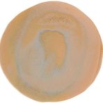 Porland Stoneware Savanna 31 cm 6 Adet Düz Tabak