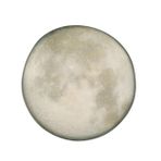 Porland Stoneware Selene 28 cm Makarna Salata Tabağı