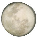 Porland Stoneware Selene 31 cm 6 Adet Düz Tabak
