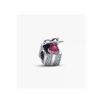 Poseidons Jewellery S925 Ayar Işıltılı Hediye Kutusu Charm