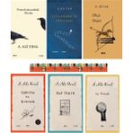 Posta Kutusundaki Mızıka / Ejderha ve Kelebek / Peygamber'in Aynaları / Raf Ömrü / Bisiklet Dersleri (6 Kitap) - A. Ali Ural - hayır