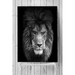 Postermanya Aslan Motivasyon 5 70x100 cm Poster