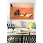 Postermanya Cesur Fare Eğlenceli Mizahi 40x60 cm Poster