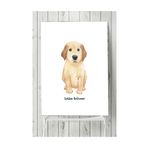 Postermanya Golden Retriever Çocuk Odası 50x70 cm Poster