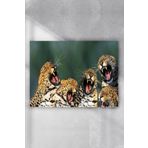 Postermanya Gülen Leoparlar Eğlenceli Mizahi 60x90 cm Poster