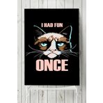 Postermanya Huysuz Kedi Eğlenceli Mizahi 40x60 cm Poster