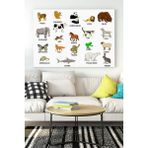 Postermanya Ingilizce Hayvanlar Eğitim 40x60 cm Poster