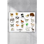 Postermanya Ingilizce Hayvanlar Eğitim 50x70 cm Poster