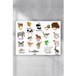 Postermanya Ingilizce Hayvanlar Eğitim 70x100 cm Poster