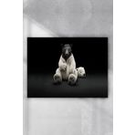 Postermanya Kutup Ayısı Eğlenceli Mizahi 90x130 cm Poster