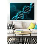 Postermanya (pster15751) Dna Bilimsel Kanvas Tablo 30 x 40