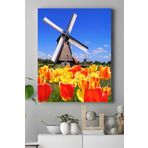 Postermanya (pster16221) Hollanda Manzara Kanvas Tablo 30 x 40