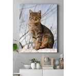 Postermanya (pster16462) Kedi Hayvan Kanvas Tablo 21 x 30