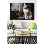 Postermanya (pster16467) Kedi Hayvan Kanvas Tablo 6 50 x 70