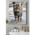 Postermanya (pster16475) Kedi Hayvan Kanvas Tablo 3 40 x 60