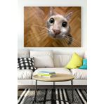 Postermanya (pster16505) Kedi Eğlenceli Mizahi Kanvas Tablo 4 40 x 60