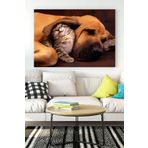 Postermanya (pster16512) Kedi Ve Köpek Eğlenceli Mizahi Kanvas Tablo 50 x 70