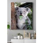 Postermanya (pster16676) Koala Hayvan Kanvas Tablo 21 x 30