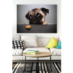 Postermanya (pster16705) Köpekcik Eğlenceli Mizahi Kanvas Tablo 30 x 40