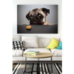 Postermanya (pster16707) Köpekcik Eğlenceli Mizahi Kanvas Tablo 50 x 70