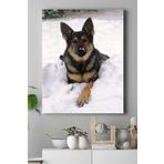 Postermanya (pster16775) Kurt Köpeği Hayvan Kanvas Tablo 30 x 40