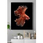 Postermanya (pster17758) Sanatsal Balık Hayvan Kanvas Tablo 40 x 60