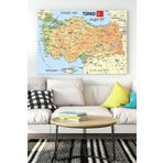 Postermanya (pster18294) Türkiye Haritası Eğitim Kanvas Tablo 4 21 x 30