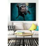 Postermanya (pster18585) Yüzen Köpek Eğlenceli Mizahi Kanvas Tablo 40 x 60