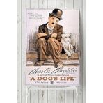 Postermanya (pster4103) A Dogs Life Hayvan Posteri Film Afişi