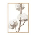 Postifull Ahşap Çerçeveli Tablo, Poster Ve Çerçeve Seti, Aquarelle Cotton Flowers Comfort Serisi No:108584;30 X 40 Ahşap Çerçeveli