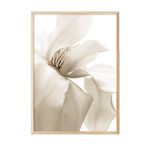 Postifull Beige Magnolia Yılbaşı Tablo, Ahşap Çerçeve Ve Poster, Duvar Tablosu Comfort Serisi No:108414;10 X 15 Ahşap Çerçeveli