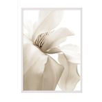 Postifull Beige Magnolia Yılbaşı Tablo, Beyaz Çerçeve Ve Poster, Duvar Tablosu Comfort Serisi No:108414;10 X 15 Beyaz Çerçeveli