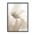 Postifull Beige Magnolia Yılbaşı Tablo, Siyah Çerçeve Ve Poster, Duvar Tablosu Comfort Serisi No:108414;50 X 70 Siyah Çerçeveli