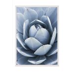 Postifull Blue Cactus Çerçeveli Tablo, Beyaz Çerçeve Ve Poster, Dikey Duvar Tablosu Comfort Serisi No:108376;10 X 15 Beyaz Çerçeveli