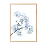 Postifull Blue Dandelion Çerçeveli Tablo, Ahşap Çerçeve Ve Poster, Duvar Tablosu Comfort Serisi No:108374;10 X 15 Ahşap Çerçeveli