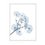Postifull Blue Dandelion Çerçeveli Tablo, Beyaz Çerçeve Ve Poster, Duvar Tablosu Comfort Serisi No:108374;10 X 15 Beyaz Çerçeveli