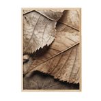 Postifull Brown Leaves Çerçeveli Tablo, Ahşap Çerçeve Ve Poster, Dikey Duvar Tablosu Comfort Serisi No:108352;10 X 15 Ahşap Çerçeveli