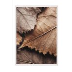 Postifull Brown Leaves Çerçeveli Tablo, Beyaz Çerçeve Ve Poster, Dikey Duvar Tablosu Comfort Serisi No:108315;10 X 15 Beyaz Çerçeveli