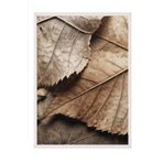Postifull Brown Leaves Çerçeveli Tablo, Beyaz Çerçeve Ve Poster, Dikey Duvar Tablosu Comfort Serisi No:108352;10 X 15 Beyaz Çerçeveli