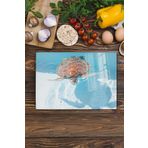 Postifull Cam Kesme Tahtası, Kalın Ve Kırılmaz Cam - Kaplumbağa Tema, 21 * 30Cm, Doğrama Tahtası, Mutfak Dekoru;21 X 30 Renkli - 12